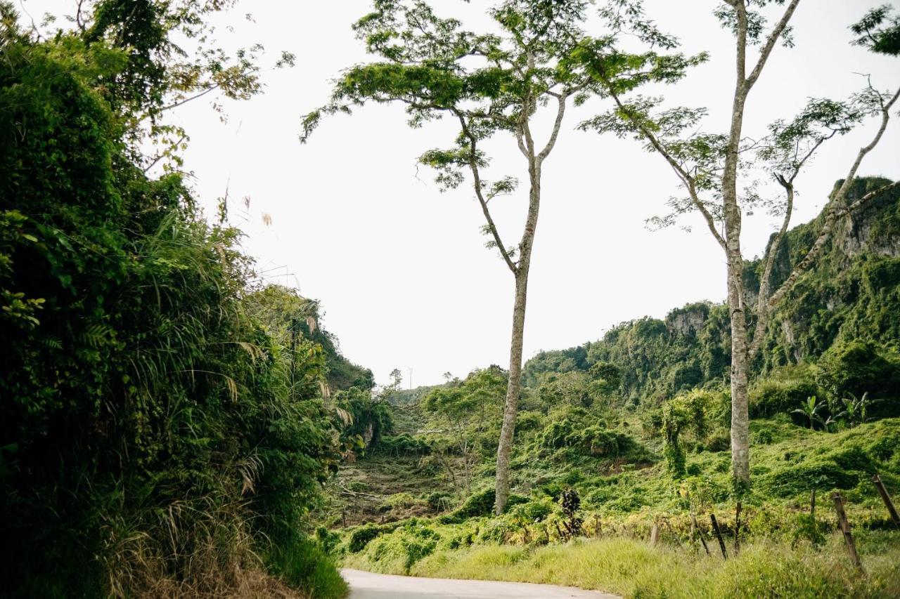 150 Peakway Mountain Resort เดลาเกเต ภายนอก รูปภาพ